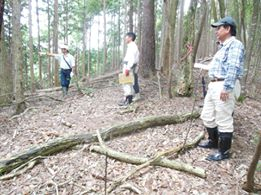 和知線３