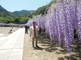 藤２